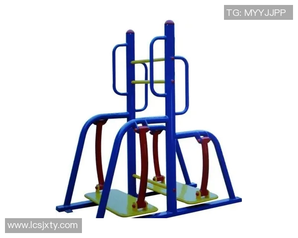 健身器材在体育用品中的重要性与多样性探讨